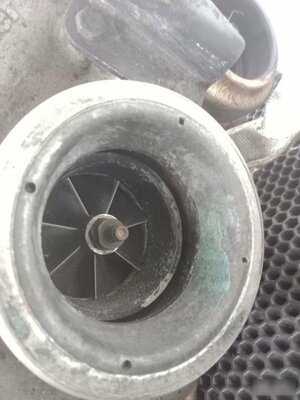 BorgWarner  (,  7)