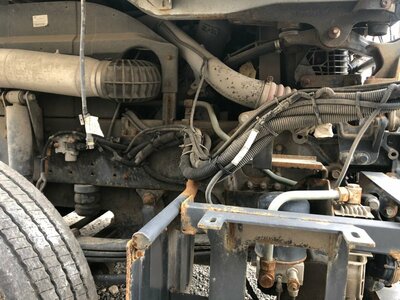 KAMAZ  KAMAZ 5490 2019  (,  8)