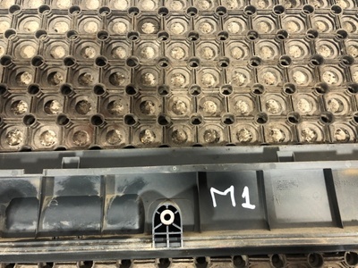 MAN    (,  5)