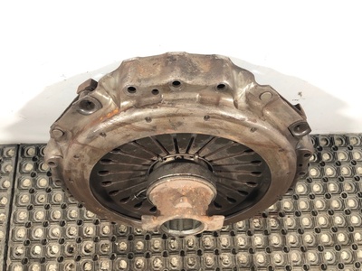 Iveco   (,  8)