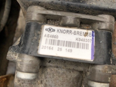 Iveco   (,  1)