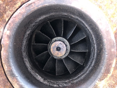 Iveco  holset (,  10)