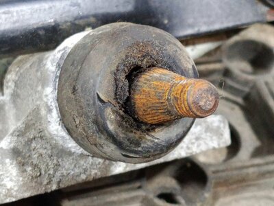 DAF   (,  4)