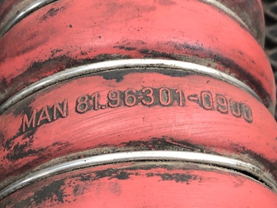 MAN   (,  5)