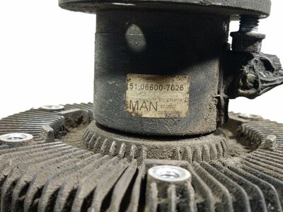 MAN  (,  4)