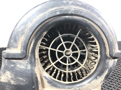 Scania   (,  7)