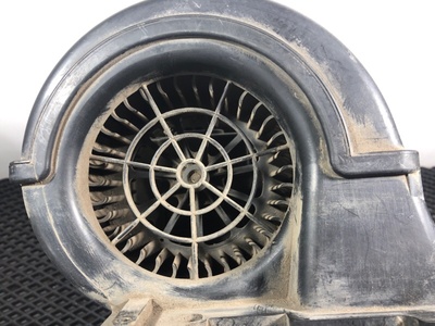 Scania   (,  8)