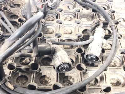 Scania   (,  2)