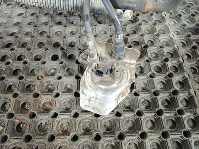 Iveco  AdBlue (,  1)