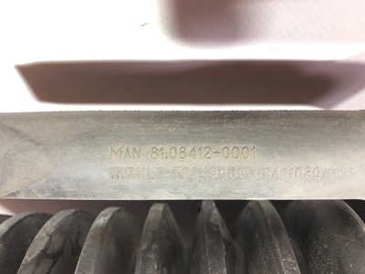MAN  (,  4)