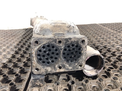 MAN  EGR (,  1)
