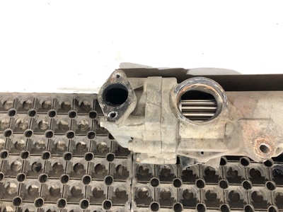 MAN  EGR (,  8)