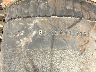 MAN    (,  6)