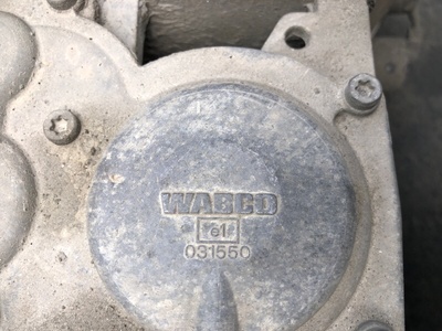 Iveco     (,  1)