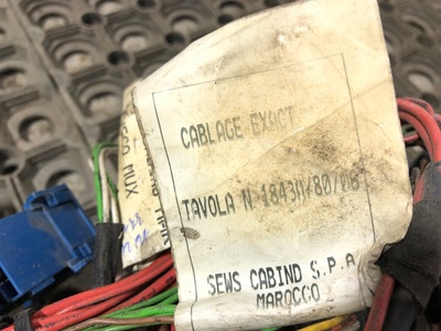 Iveco   (,  21)