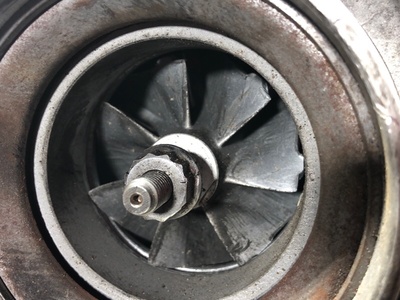 Iveco  holset (,  6)