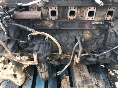 Iveco   (,  1)