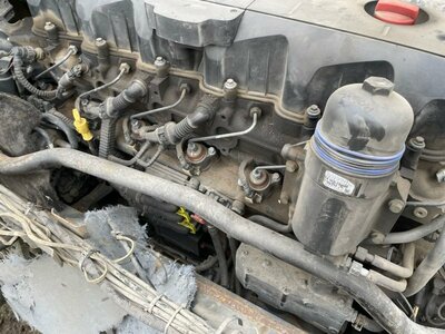 DAF  MX340U1 DAF XF 105 / (,  6)