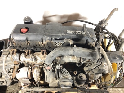 DAF  MX340U1 DAF XF 105 / (,  10)