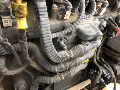 DAF  MX340U1 DAF XF 105 / (,  19)