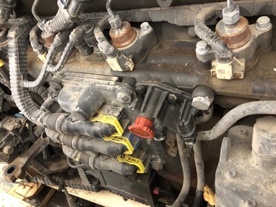 DAF  MX340U1 DAF XF 105 / (,  21)