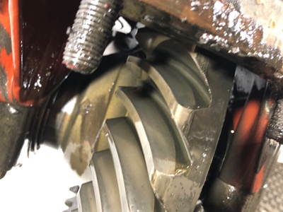 DAF    AAS1347 3.07 DAF 95XF / (,  7)