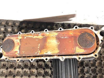 Iveco  Iveco / (,  6)