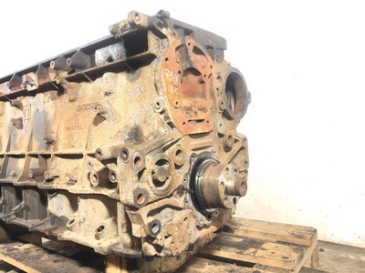 Iveco   Iveco Stralis / (,  19)