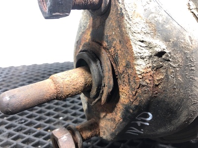 Iveco    Iveco Stralis / (,  4)