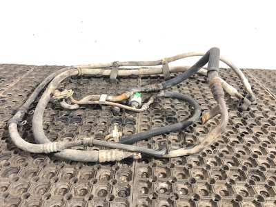 Iveco   Iveco Stralis / (,  1)