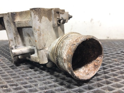 Iveco   Iveco Stralis / (,  4)