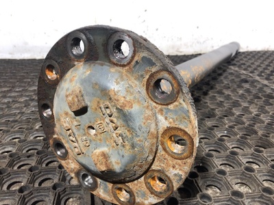 DAF    DAF 95XF / (,  4)