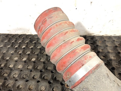 KAMAZ �������� ����������� ����� 5490 �/� (����, ��� 3)