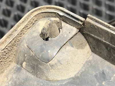 Renault ���� ��������������� RENAULT T �/� (����, ��� 7)