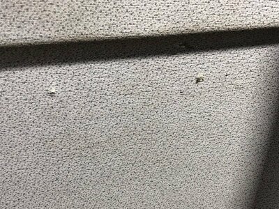 KAMAZ ������� ������ ����� 5490 �/� (����, ��� 3)