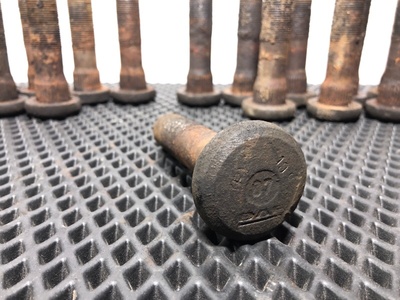 DAF ������� ������� DAF XF95 �/� (����, ��� 3)