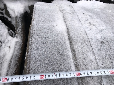 Scania ��� ��������� 500L Scania 4-Series �/� (����, ��� 5)