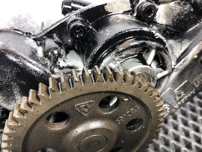 DAF ����� �������� DAF XF 105 �/� (����, ��� 1)