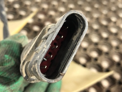 DAF ���������� � ����� � ����������� DAF XF 105 �/� (����, ��� 7)