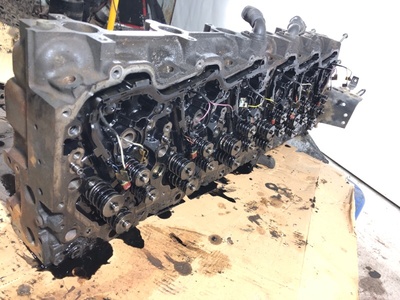 DAF ������� ����� ��������� DAF XF 105 �/� (����, ��� 10)