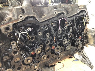 DAF ������� ����� ��������� DAF XF 105 �/� (����, ��� 12)