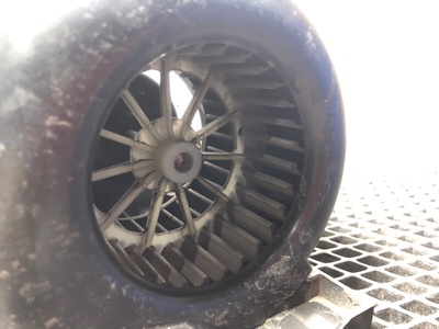 DAF �������� ����� DAF XF105 �/� (����, ��� 4)