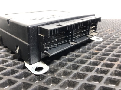 KAMAZ ���� ���������� ��������� ����� 5490 �/� (����, ��� 3)