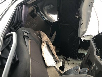 KAMAZ ��������� ����� �5 54901 �/� (����, ��� 11)