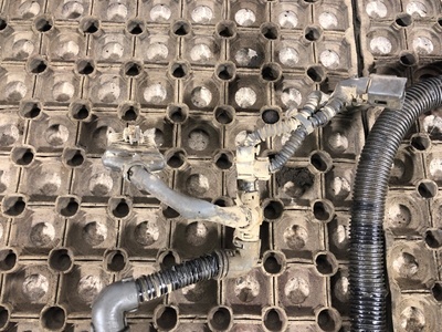 KAMAZ �������� ��������� ����� 5490 �/� (����, ��� 3)