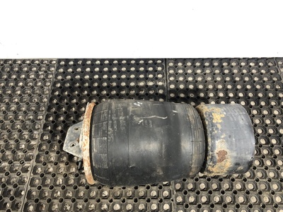 DAF ������� �������������� DAF XF95 �/� (����, ��� 2)