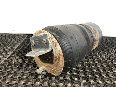 DAF ������� �������������� DAF XF95 �/� (����, ��� 3)