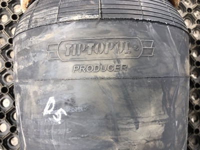DAF ������� �������������� DAF XF95 �/� (����, ��� 5)