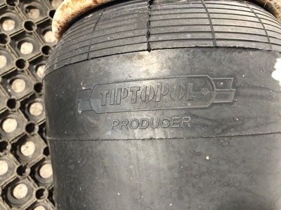 DAF ������� �������������� DAF XF105 �/� (����, ��� 4)