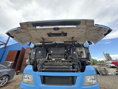 MAN ������ � ����� MAN TGX �/� (����, ��� 6)